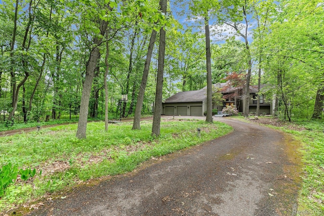 5130 Whitlow Ct, Commerce Twp, MI 48382 - view of front facade with a detached garage and asphalt driveway