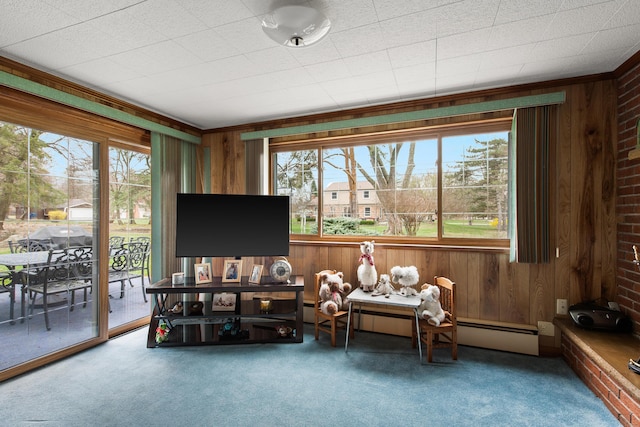 1269 Potomac Dr, Rochester Hills, MI 48306 - sitting room featuring carpet, wooden walls, and a baseboard radiator