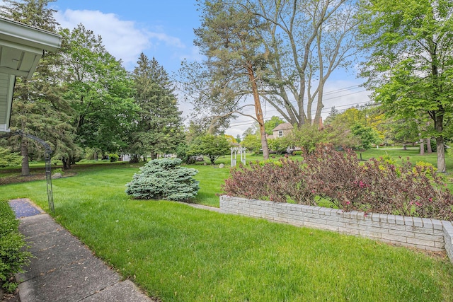 1269 Potomac Dr, Rochester Hills, MI 48306 - view of green lawn