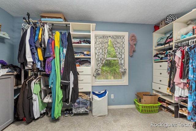 4160 Knapp Valley Dr NE, Grand Rapids, MI 49525 - spacious closet featuring carpet floors
