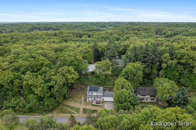 4160 Knapp Valley Dr NE, Grand Rapids, MI 49525 - drone / aerial view of a forest