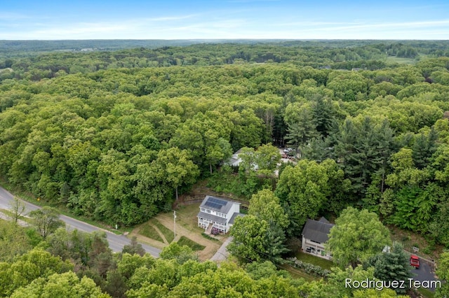 4160 Knapp Valley Dr NE, Grand Rapids, MI 49525 - bird's eye view of a forest