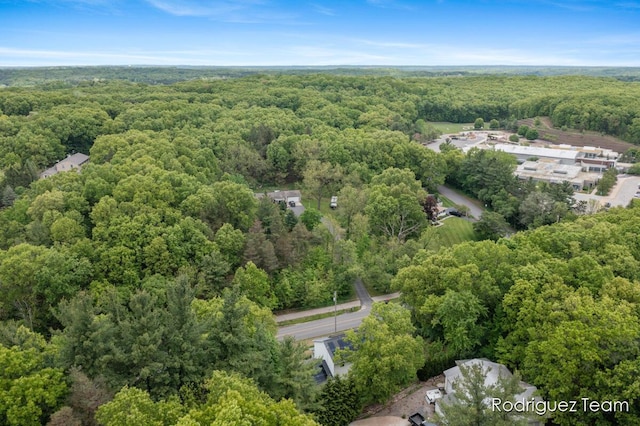 4160 Knapp Valley Dr NE, Grand Rapids, MI 49525 - aerial view of a heavily wooded area