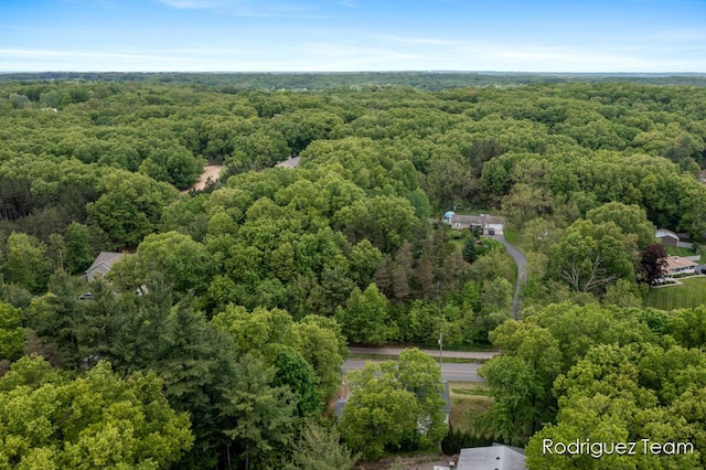 4160 Knapp Valley Dr NE, Grand Rapids, MI 49525 - bird's eye view of a heavily wooded area