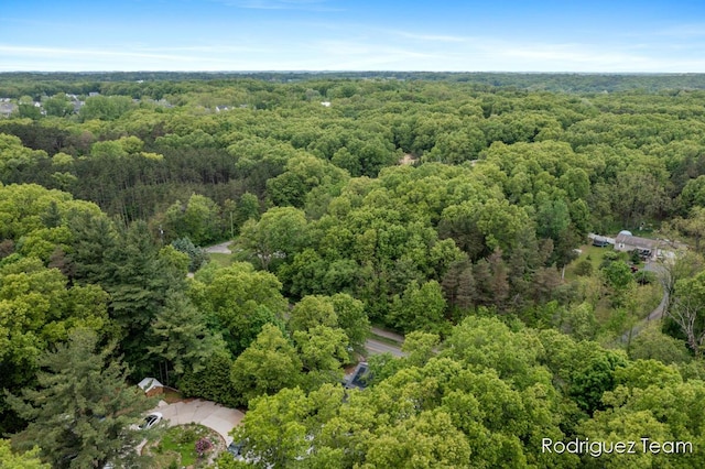 4160 Knapp Valley Dr NE, Grand Rapids, MI 49525 - view of property location featuring a forest