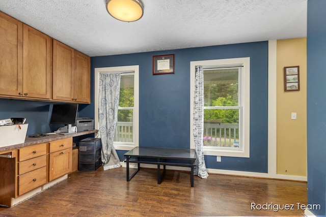 4160 Knapp Valley Dr NE, Grand Rapids, MI 49525 - office space with dark wood-style flooring, a textured ceiling, baseboards, and built in desk