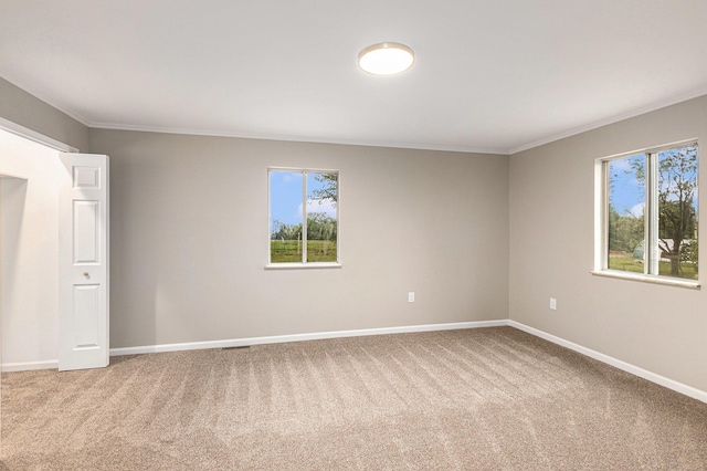 6900 Welch Lake Rd, Grass Lake, MI 49240 - unfurnished room featuring light colored carpet, ornamental molding, and baseboards