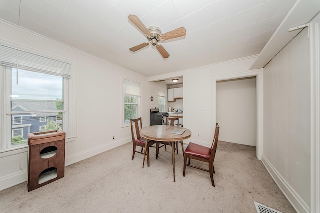 414 W Summit St, Ann Arbor, MI 48103 - dining area with light colored carpet, ornamental molding, and a ceiling fan