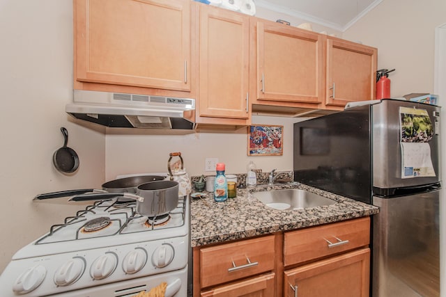 414 W Summit St, Ann Arbor, MI 48103 - kitchen with white gas stove, under cabinet range hood, ornamental molding, freestanding refrigerator, and a sink