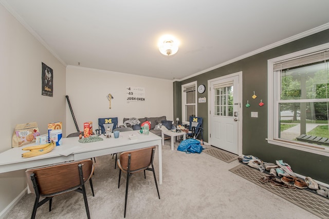 414 W Summit St, Ann Arbor, MI 48103 - office featuring light carpet and ornamental molding