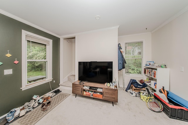414 W Summit St, Ann Arbor, MI 48103 - carpeted living room featuring crown molding, plenty of natural light, stairway, and baseboards