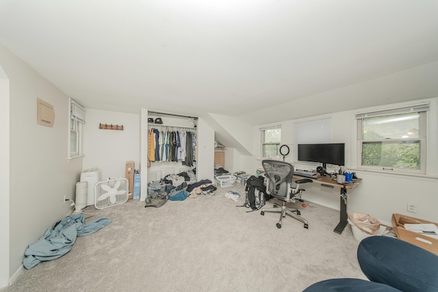 414 W Summit St, Ann Arbor, MI 48103 - office space with carpet flooring