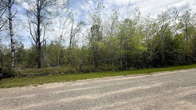 LOT50 Breezewood Dr, Mancelona, MI 49659