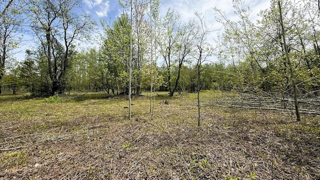 LOT50 Breezewood Dr, Mancelona, MI 49659