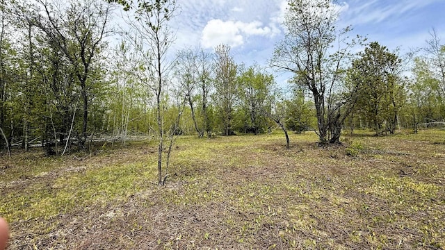 LOT50 Breezewood Dr, Mancelona, MI 49659