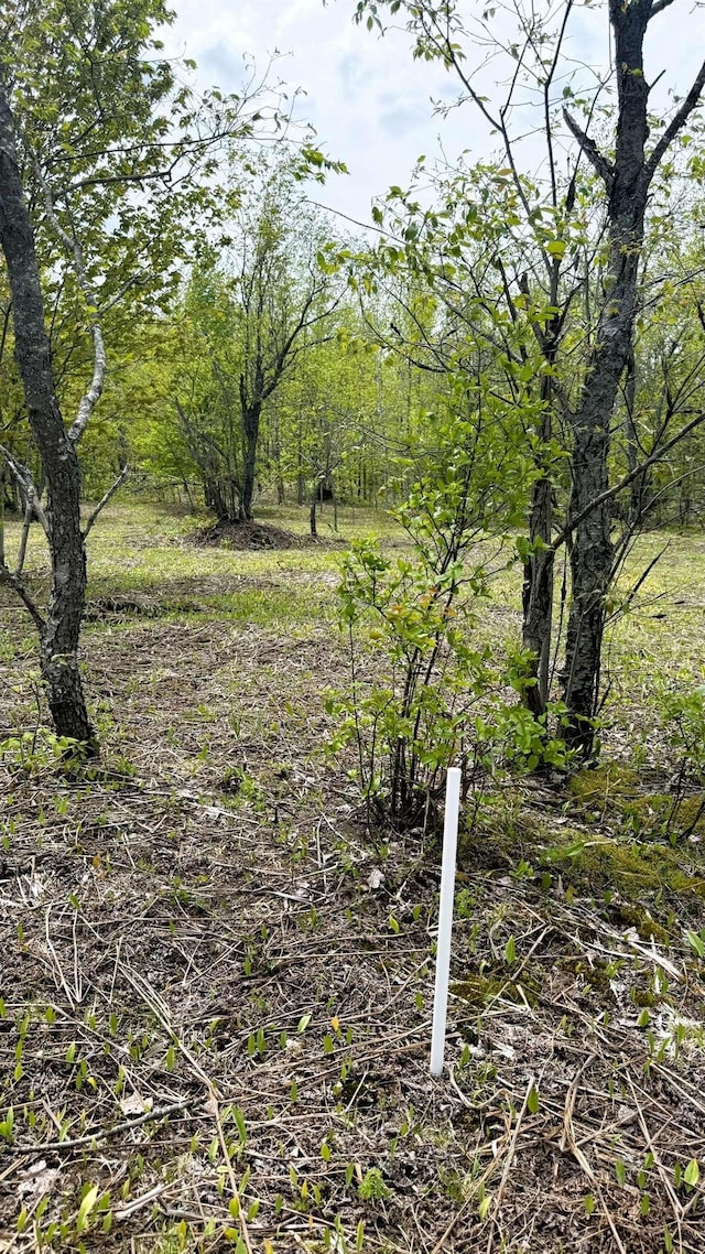 LOT50 Breezewood Dr, Mancelona, MI 49659