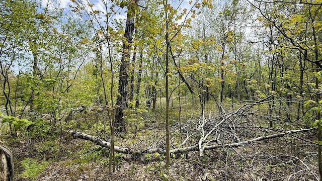 LOT50 Breezewood Dr, Mancelona, MI 49659