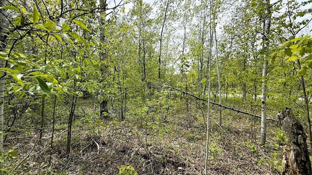 LOT50 Breezewood Dr, Mancelona, MI 49659