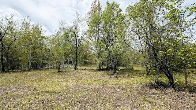 LOT50 Breezewood Dr, Mancelona, MI 49659