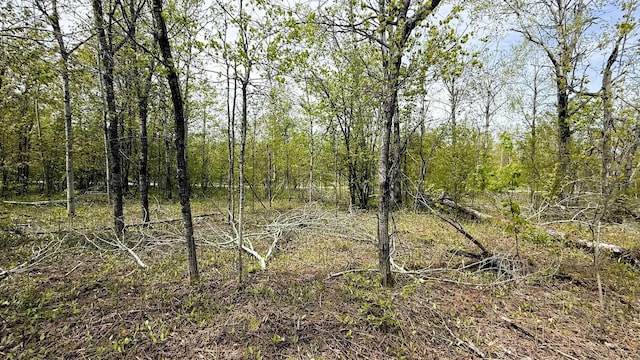 LOT50 Breezewood Dr, Mancelona, MI 49659