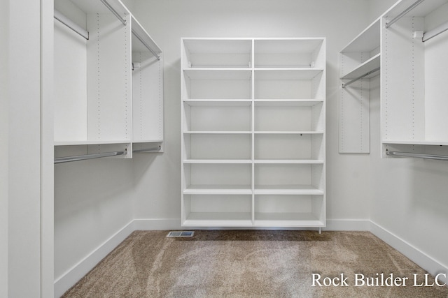 7134 Sugar Maple Dr, Hudsonville, MI 49426 - walk in closet with carpet flooring