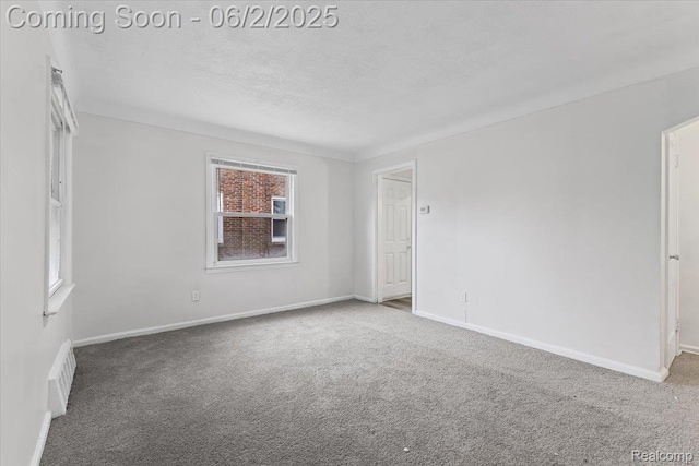 18697 Sunderland Rd, Detroit, MI 48219 - carpeted empty room with baseboards and a textured ceiling