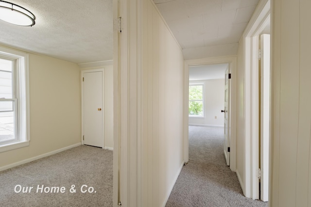 337 N Fairview Ave, Lansing, MI 48912 - hallway featuring light colored carpet and baseboards
