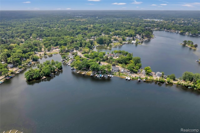 533 Bellevue Ave, Lake Orion, MI 48362 - aerial view of a large body of water and a forest