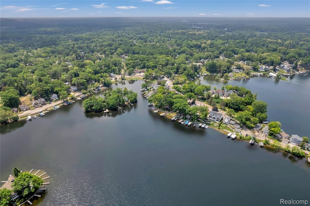 533 Bellevue Ave, Lake Orion, MI 48362 - aerial view of a nearby body of water and a forest
