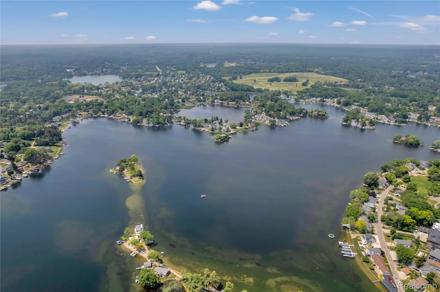 533 Bellevue Ave, Lake Orion, MI 48362 - view of property location with a nearby body of water