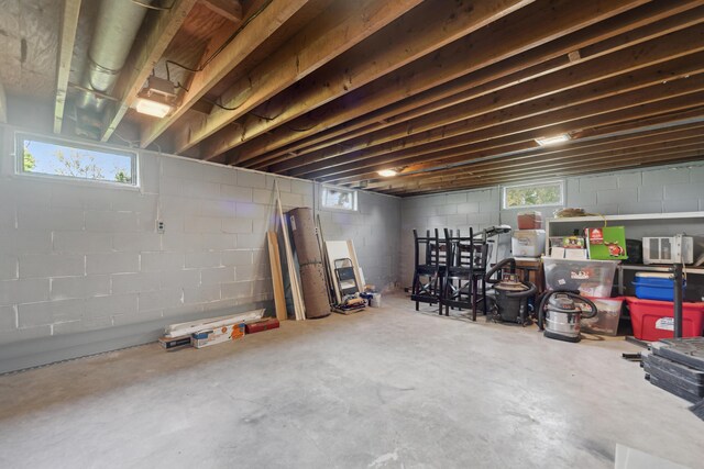 229 Water St, Grass Lake, MI 49240 - view of below grade area