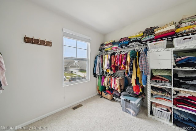 222 Quartz Way, White Lake, MI 48386 - walk in closet with carpet floors