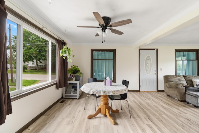 111 Greenleaf St, Onsted, MI 49265 - dining space featuring plenty of natural light, baseboards, light wood-type flooring, a ceiling fan, and crown molding