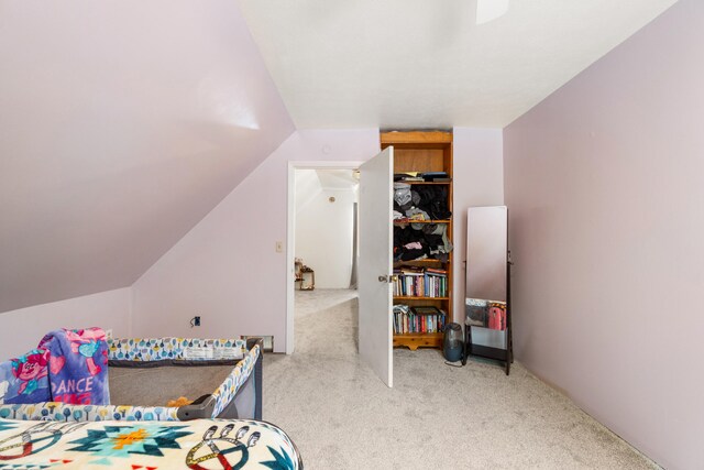 111 Greenleaf St, Onsted, MI 49265 - bedroom with light carpet and vaulted ceiling