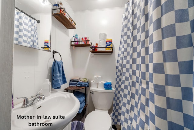 111 Greenleaf St, Onsted, MI 49265 - full bath featuring a sink, toilet, and curtained shower