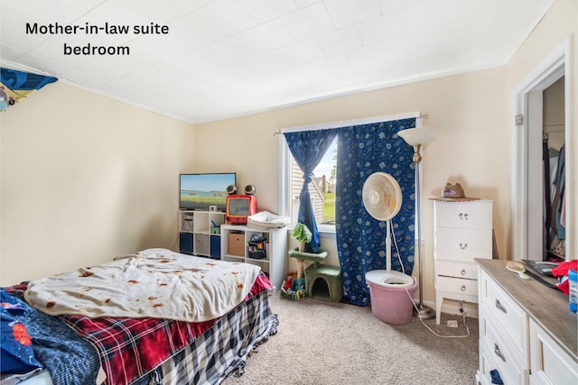111 Greenleaf St, Onsted, MI 49265 - carpeted bedroom with ornamental molding