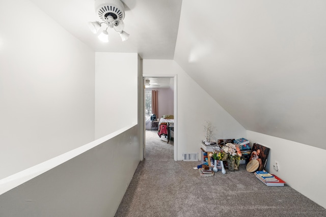 111 Greenleaf St, Onsted, MI 49265 - hallway with carpet flooring and lofted ceiling