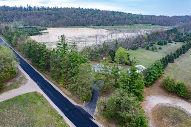 8279 Luce St, Alanson, MI 49706 - aerial view of property and surrounding area featuring a heavily wooded area