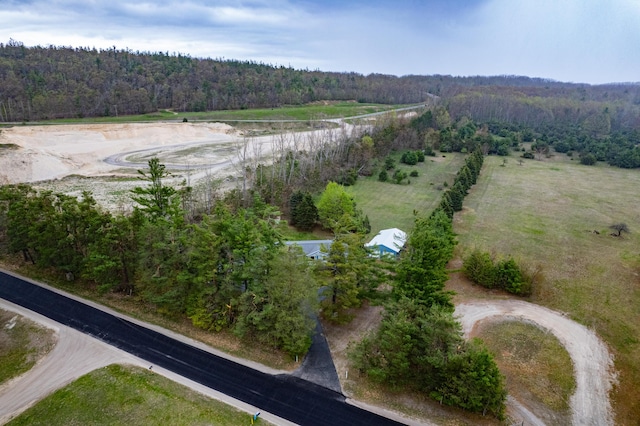 8279 Luce St, Alanson, MI 49706 - view of property location featuring a heavily wooded area and rural landscape