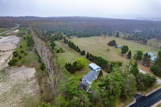 8279 Luce St, Alanson, MI 49706 - view of property location featuring a forest and rural landscape