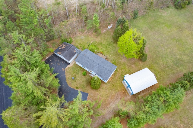 8279 Luce St, Alanson, MI 49706 - drone / aerial view