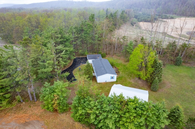 8279 Luce St, Alanson, MI 49706 - view of subject property with a forest