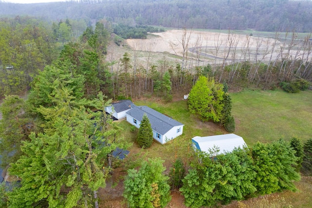 8279 Luce St, Alanson, MI 49706 - aerial view of a forest