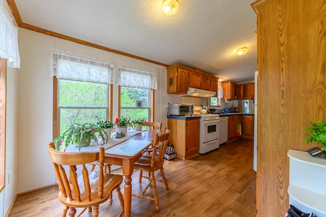 8279 Luce St, Alanson, MI 49706 - dining area featuring crown molding, light wood finished floors, plenty of natural light, and a textured ceiling