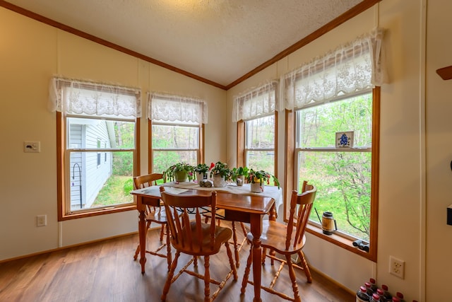 8279 Luce St, Alanson, MI 49706 - dining space featuring lofted ceiling, ornamental molding, light wood finished floors, and a textured ceiling