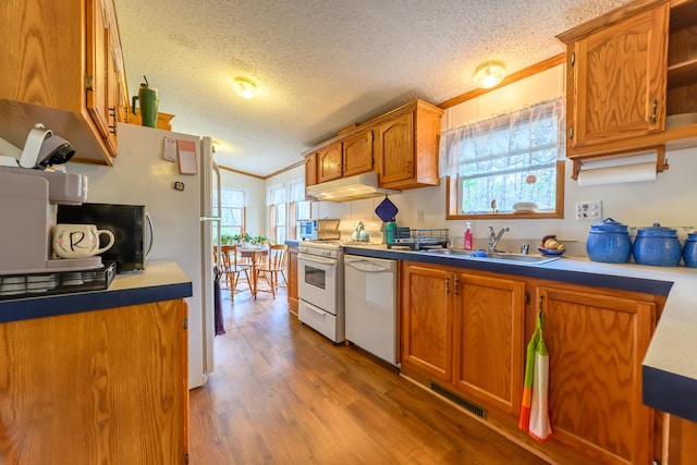 8279 Luce St, Alanson, MI 49706 - kitchen with white appliances, under cabinet range hood, a sink, crown molding, and healthy amount of natural light