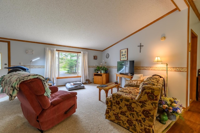 8279 Luce St, Alanson, MI 49706 - carpeted living area with crown molding, vaulted ceiling, and a textured ceiling