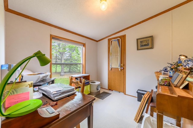 8279 Luce St, Alanson, MI 49706 - home office with lofted ceiling, ornamental molding, carpet floors, and a textured ceiling