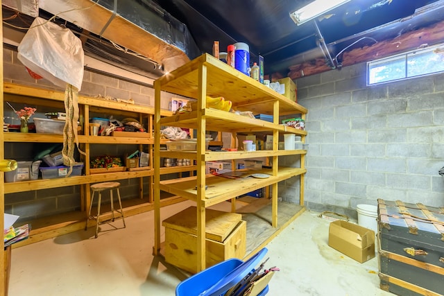 8279 Luce St, Alanson, MI 49706 - view of storage room