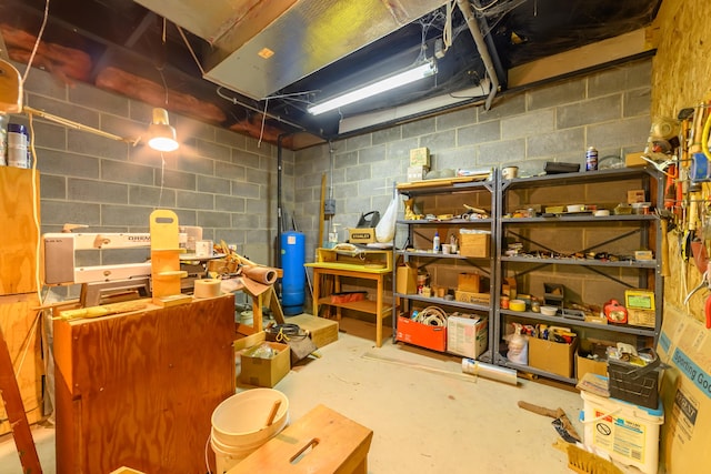 8279 Luce St, Alanson, MI 49706 - view of storage